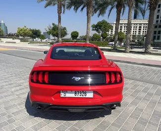 Ford Mustang Coupe – samochód kategorii Premium, Luksusowy na wynajem w ZEA ✓ Depozyt 2000 AED ✓ Ubezpieczenie: OC, SCDW, Pasażerowie, Od Kradzieży.