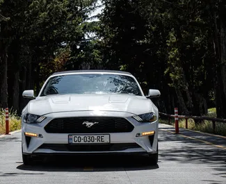 Wynajem samochodu Ford Mustang Cabrio nr 8032 (Automatyczna) w Tbilisi, z silnikiem 2,3l. Benzyna ➤ Bezpośrednio od Tamta w Gruzji.