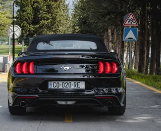 Silnik Benzyna 2,3 l – Wynajmij Ford Mustang Cabrio w Tbilisi.