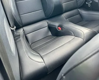 Ford Mustang Cabrio – samochód kategorii Premium, Luksusowy, Cabrio na wynajem na Białorusi ✓ Bez Depozytu ✓ Ubezpieczenie: OC, CDW.