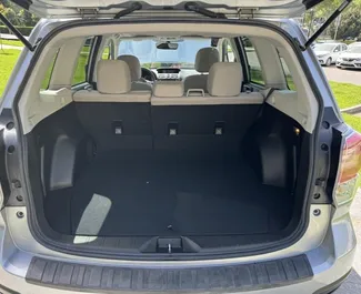 Subaru Forester 2017 do wynajęcia w Tbilisi. Limit przebiegu nieograniczony.