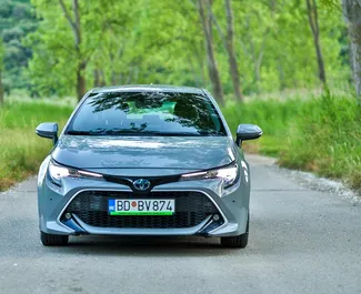 Wypożyczalnia Toyota Corolla w Becici, Czarnogóra ✓ Nr 15930. ✓ Skrzynia Automatyczna ✓ Opinii: 0.