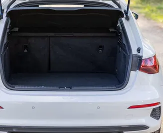 Silnik Benzyna 20,0 l – Wynajmij Audi A3 w Becici.