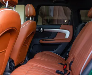 Silnik Benzyna 2,0 l – Wynajmij Mini Countryman Cooper S w Tbilisi.