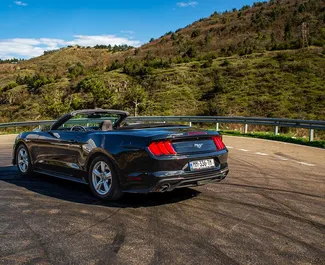 Silnik Benzyna 2,3 l – Wynajmij Ford Mustang Cabrio w Tbilisi.